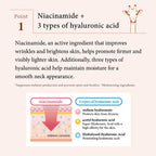 Premium Neck Cream Rich