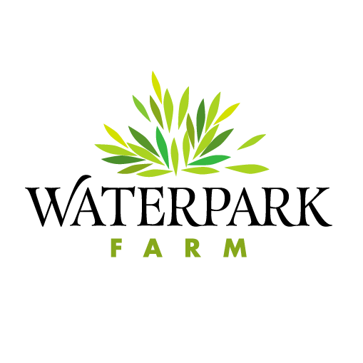 Lemon Myrtle Oil 100% Pure