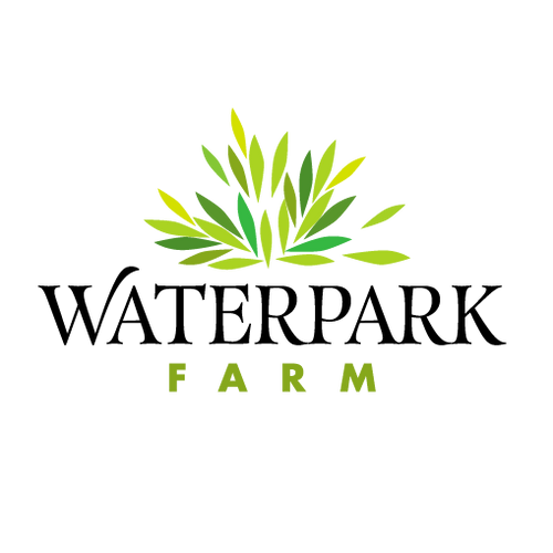 Lemon Eucalyptus Oil (Blue Mallee Tree) 100% Pure