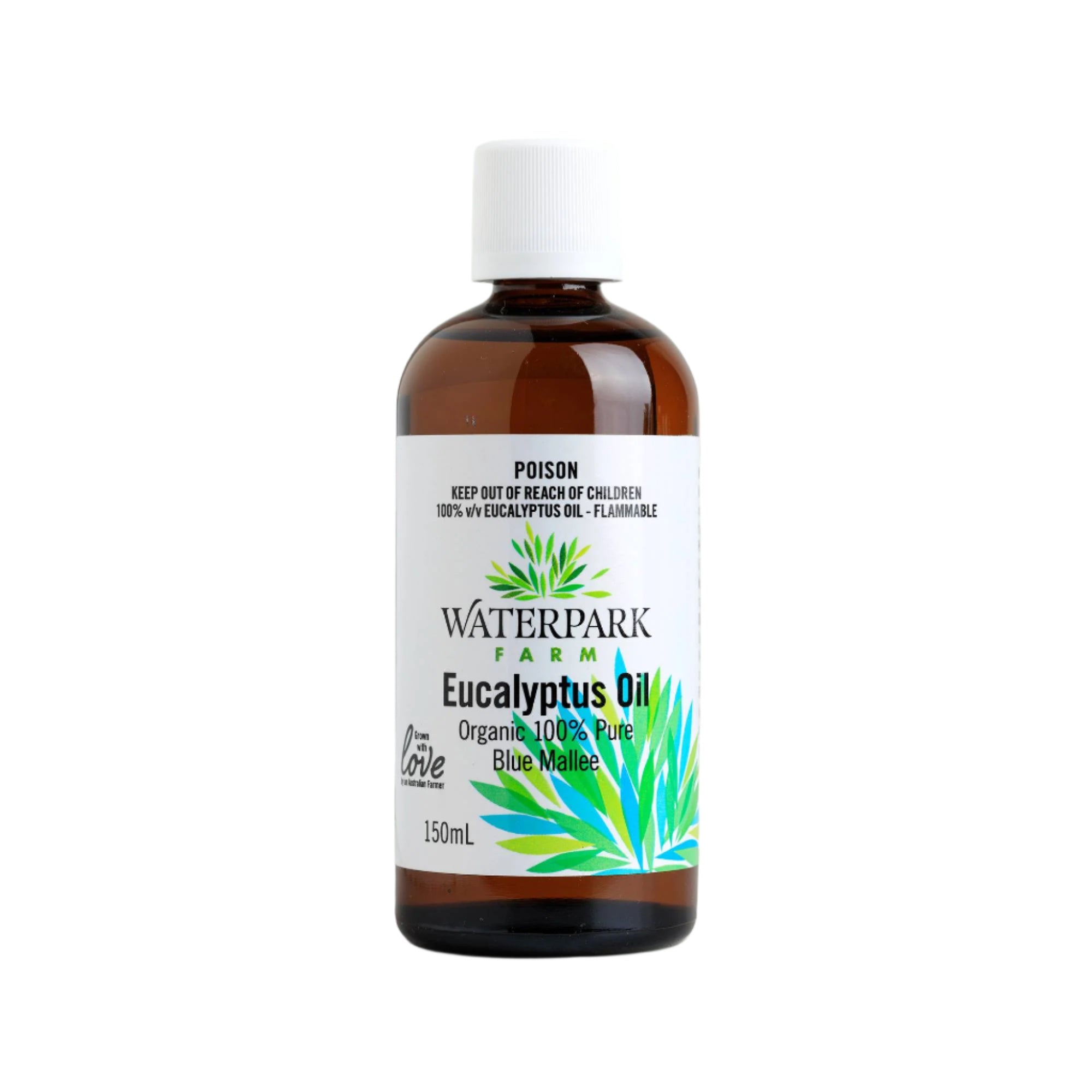 Eucalyptus Oil